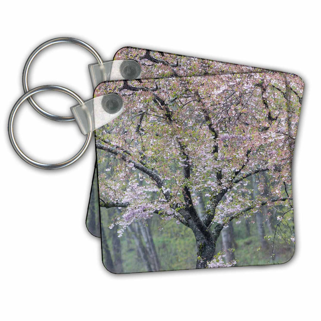 3dRose Key Chains Cherry trees blooming. Snoqualmie River, Fall City, Washington State. (kc-347780-1)