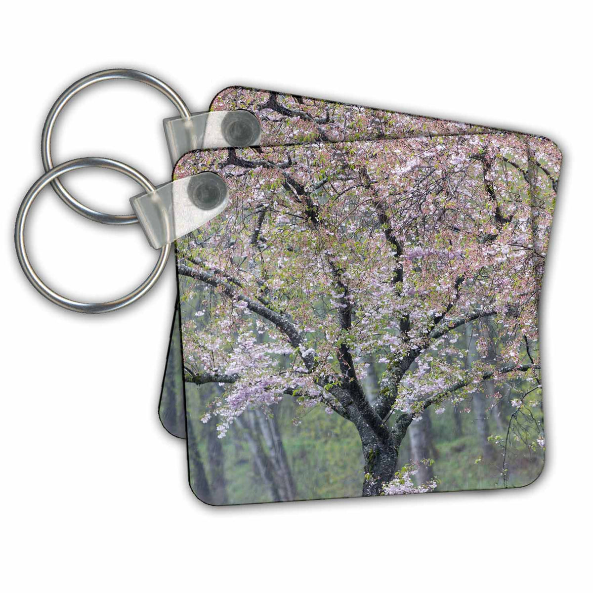 3dRose Key Chains Cherry trees blooming. Snoqualmie River, Fall City, Washington State. (kc-347780-1)