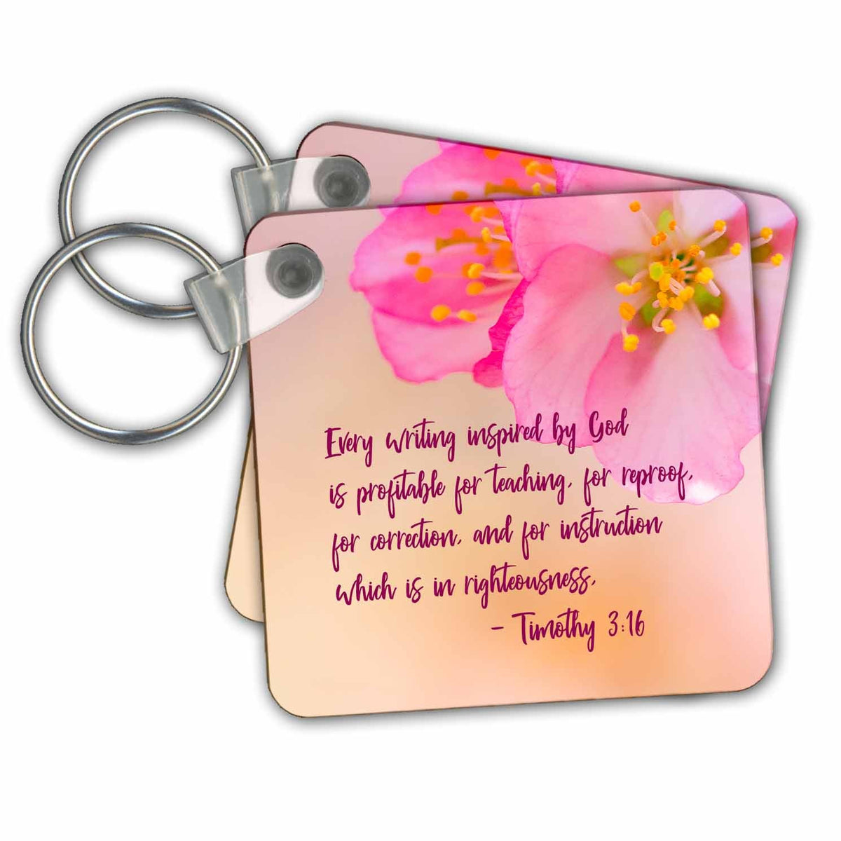 3dRose Key Chains Bible - Every writing inspired by God is profitable for teaching... (kc-349305-1)
