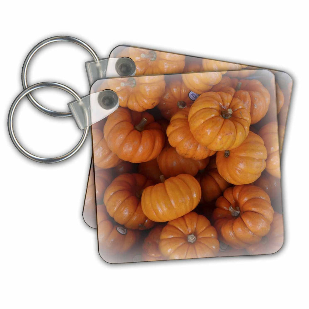 3dRose Key Chains Orange Pumpkins- Autumn Photography- Vegetables (kc-36346-1)