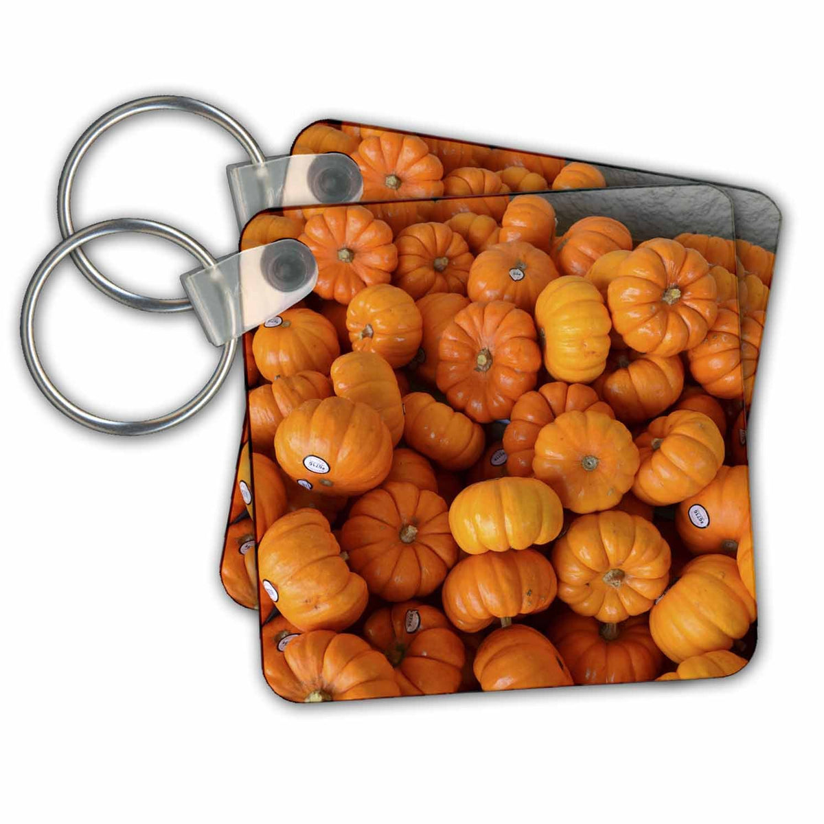 3dRose Key Chains Orange Mini Pumpkins- Autumn Photography- Vegetables (kc-36349-1)