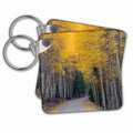 Key Chain - Mountain Road Framed by Golden Aspens Photography Aspens