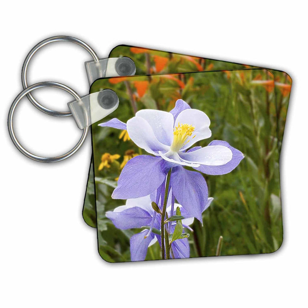 3dRose Key Chains Blue Columbine (Colorado State Flower) (kc-36356-1)
