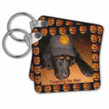 Key Chain - Newfoundland Dog No Trick or Treating Halloween Designs