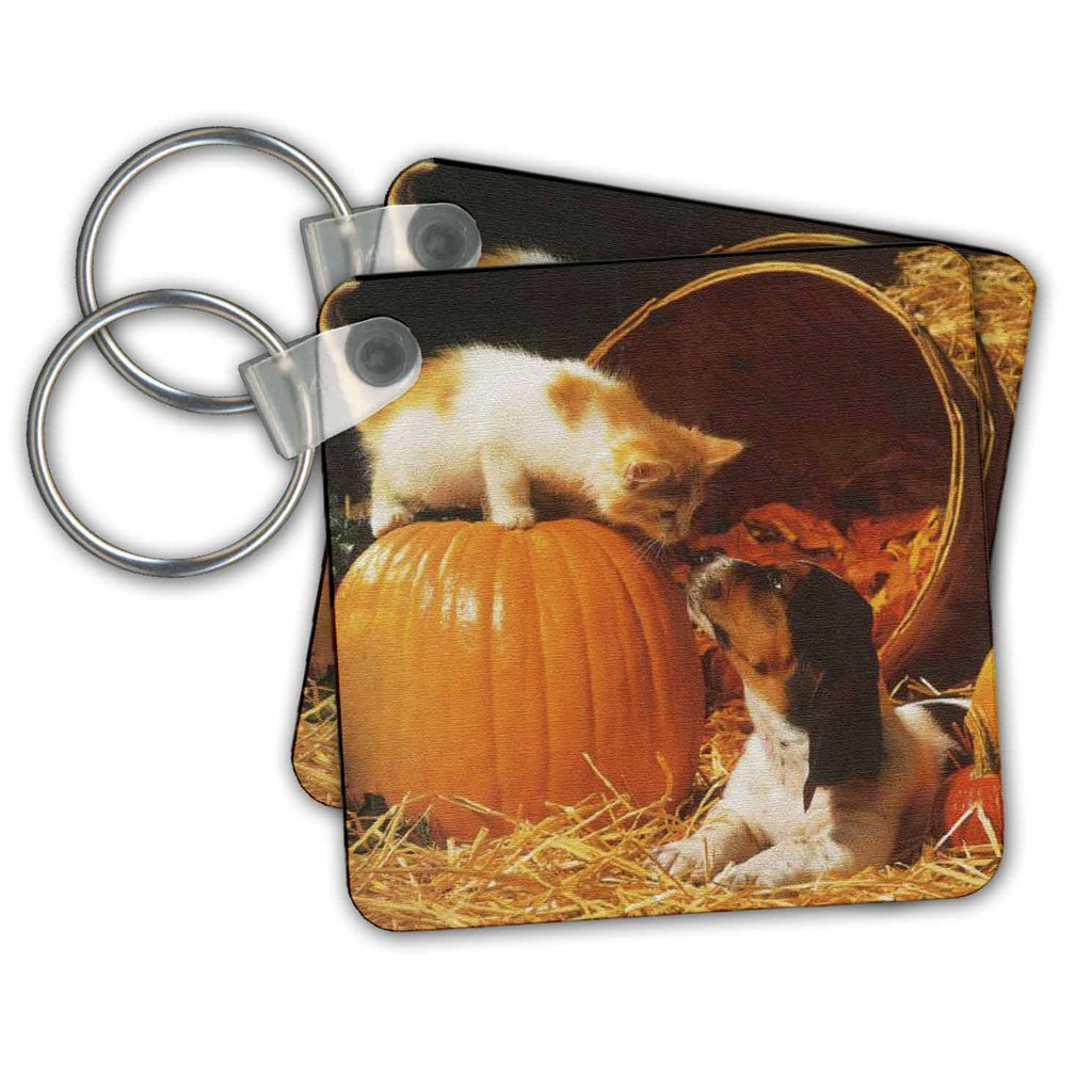 3dRose Key Chains Kitten, Puppy and Pumpkin on Canvas (kc-36422-1)