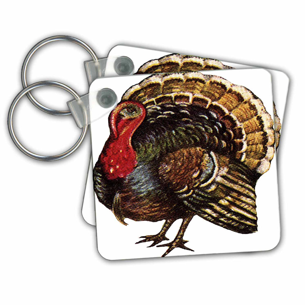 3dRose Key Chains Vintage Cartoon Turkey (kc-36425-1)