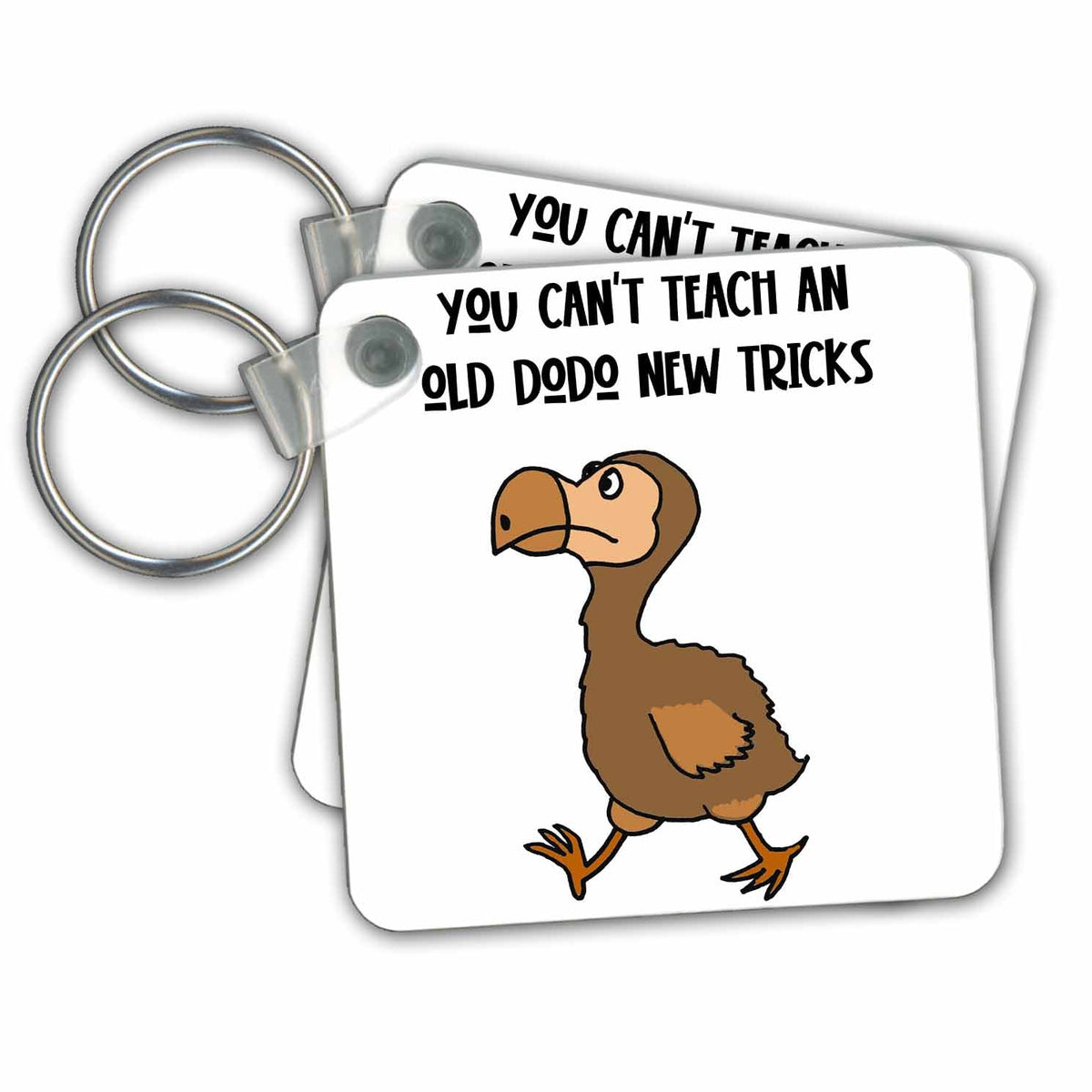 Key Chain - Funny Dodo Bird You cant teach an old dodo new tricks Funny