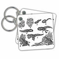 Key Chain - Frog Development - Frog Spawn to Tadpole to Frog vintage illustration Animals