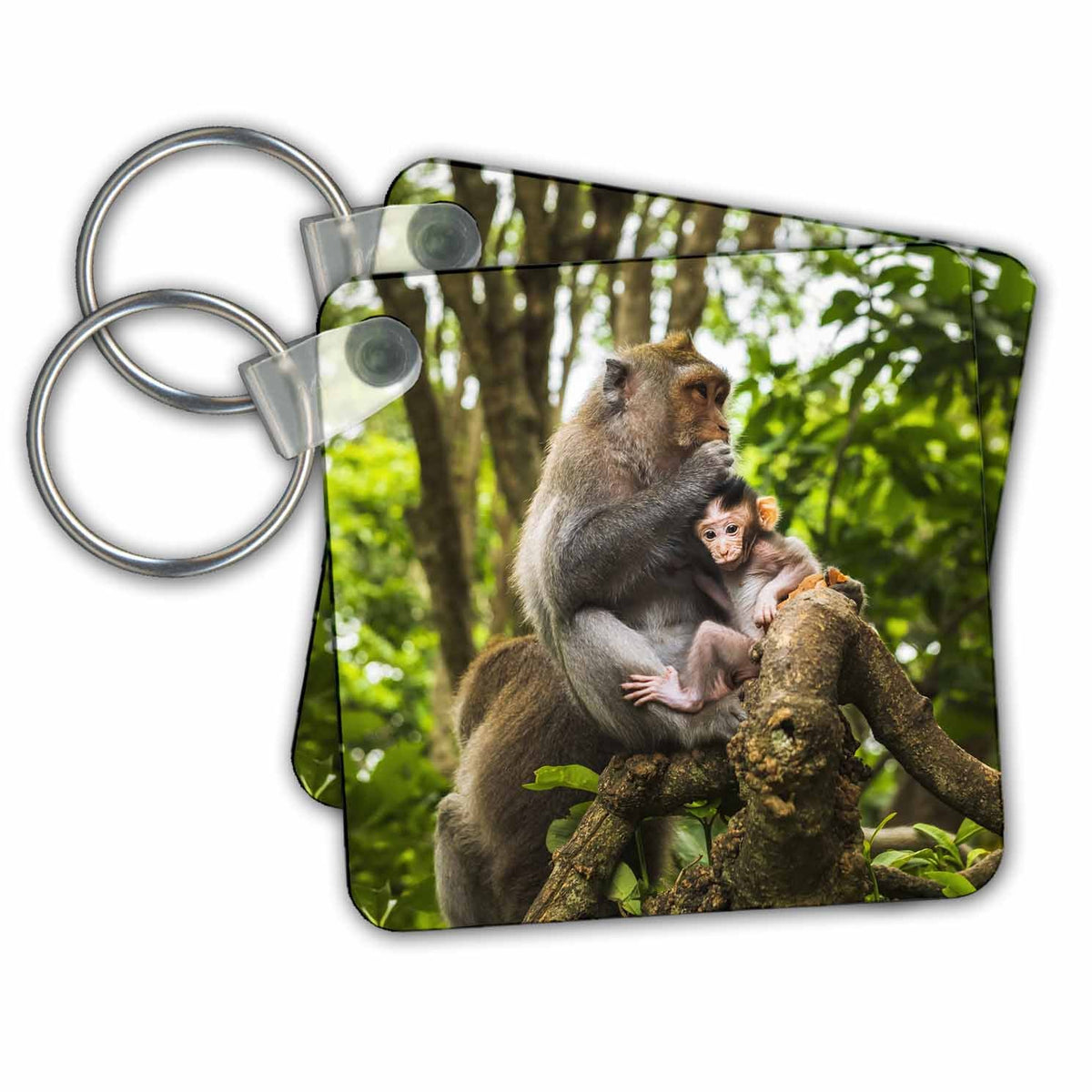 3dRose Key Chains Balinese long tailed Monkey, Sacred Monkey Forest, Ubud, Bali. (kc-366333-1)