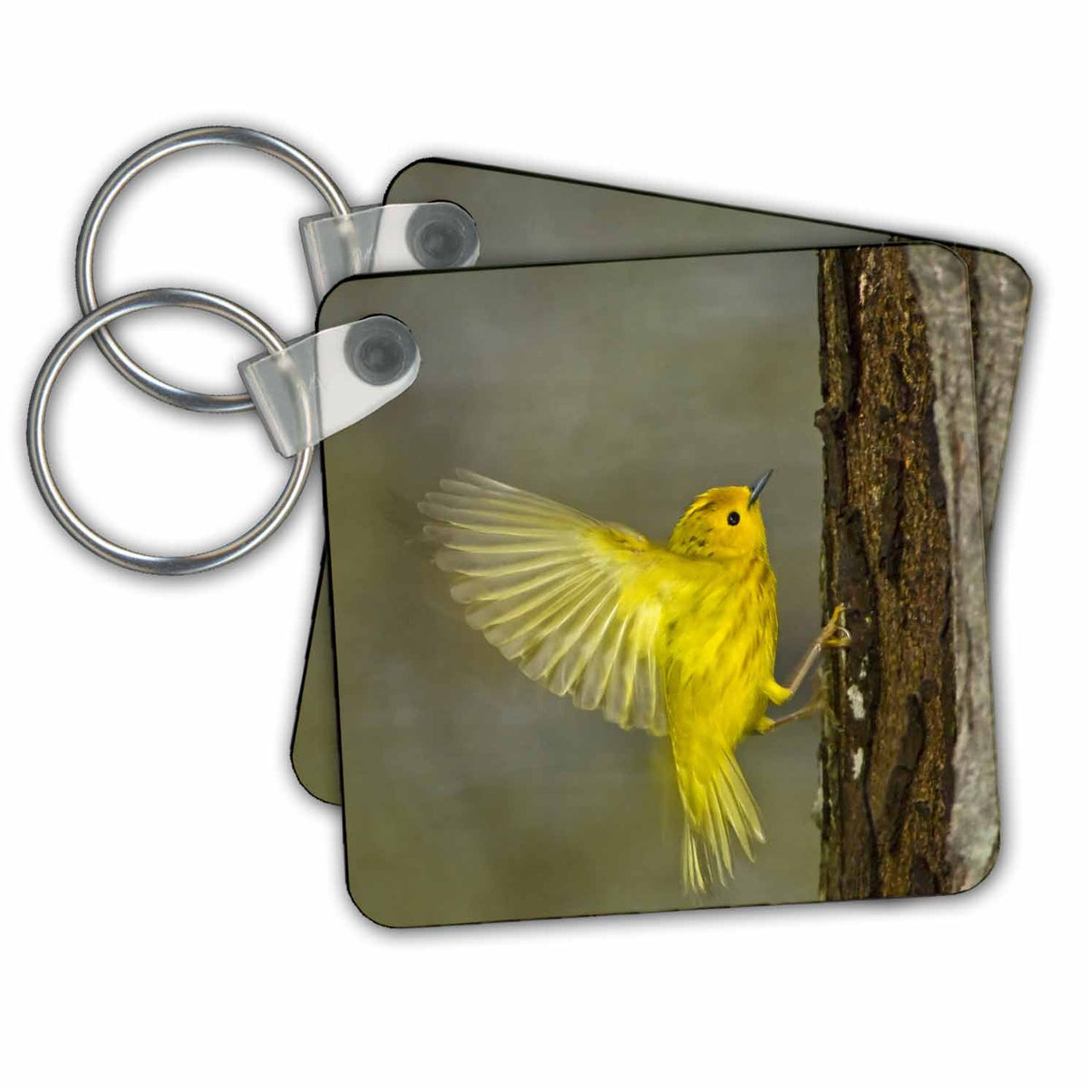 Key Chain - Canada, Ontario, Point Pelee NP. Yellow warbler on tree trunk. Birds