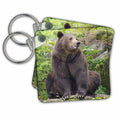 3dRose Key Chains Eurasian brown bear Bavarian Forest, enclosure, Germany (kc-366464-1)