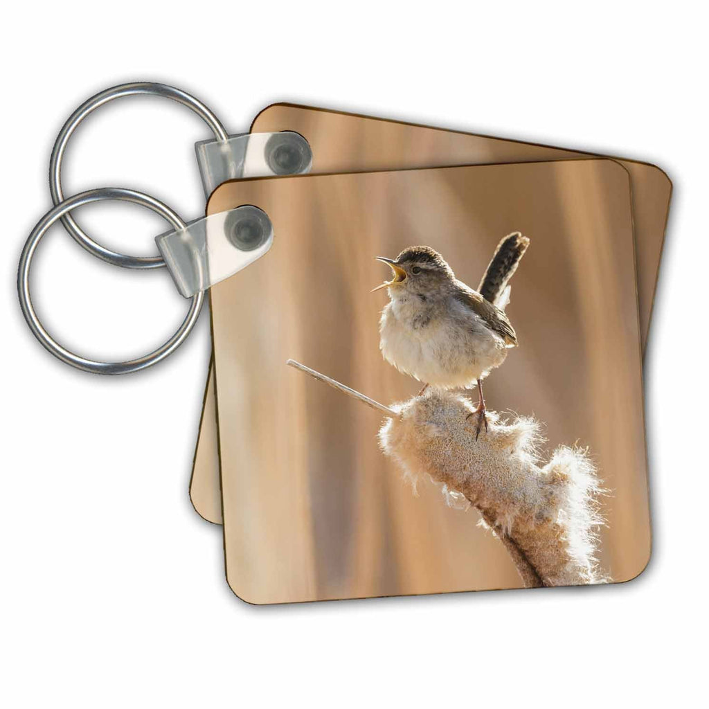 3dRose Key Chains Marsh wren, morning song (kc-367078-1)