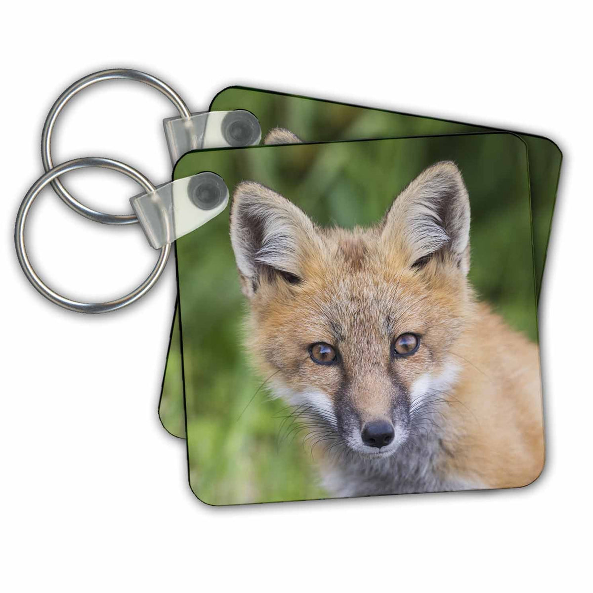 Key Chain - Red fox, curious youngster Foxes
