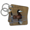 Key Chain - Ruddy duck drake Ducks