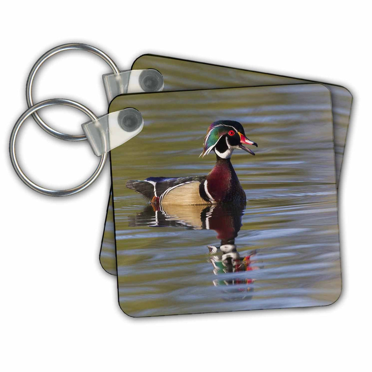 3dRose Key Chains Wood duck drake calling (kc-367090-1)