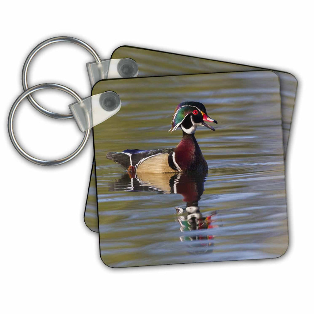 3dRose Key Chains Wood duck drake calling (kc-367090-1)