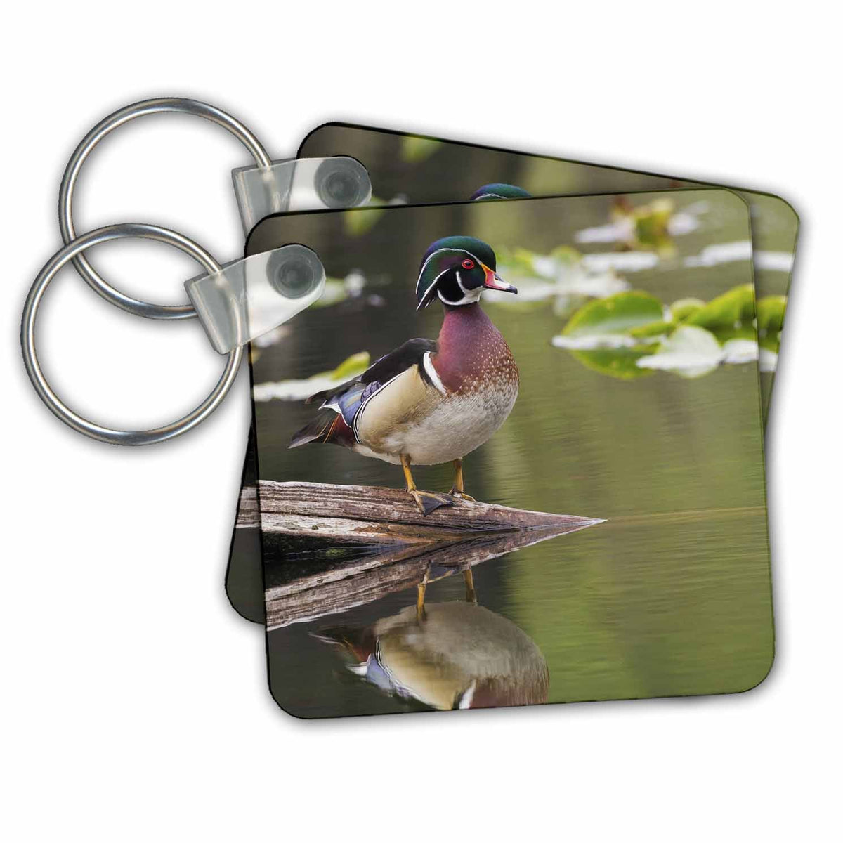 Key Chain - Wood duck drake Ducks