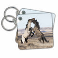 Key Chain - Wild horses, stallions battling Horses