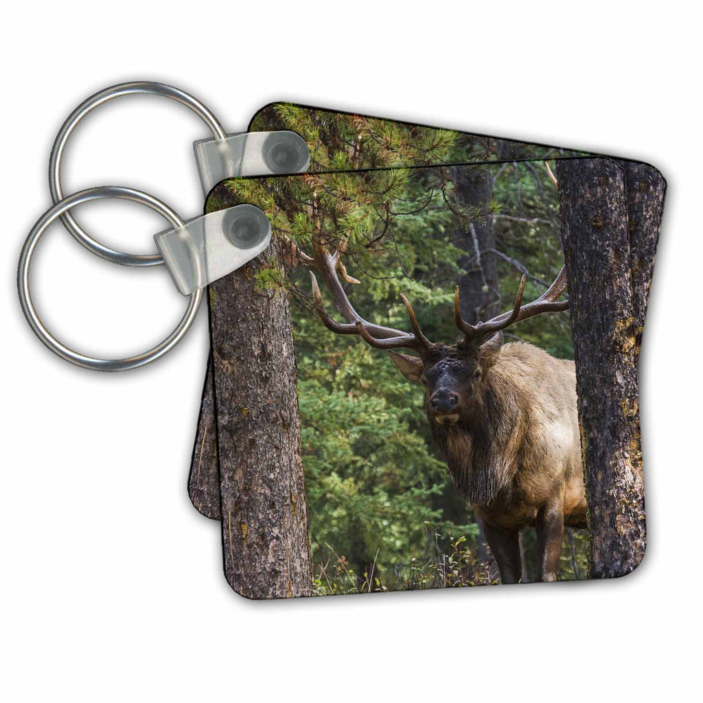 3dRose Key Chains Bull elk emerging through the forest (kc-367099-1)