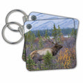 Key Chain - Bull elk, mountain autumn color Elk