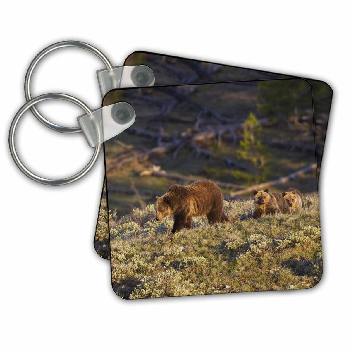 Key Chain - Grizzly bear sow with yearling cubs Bears
