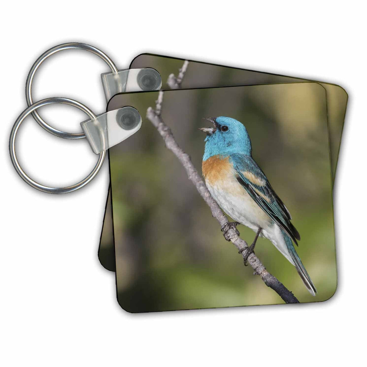 3dRose Key Chains Singing Lazuli bunting (kc-367105-1)