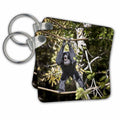 Key Chain - A howling Siamang gibbon balances from ropes. Monkeys