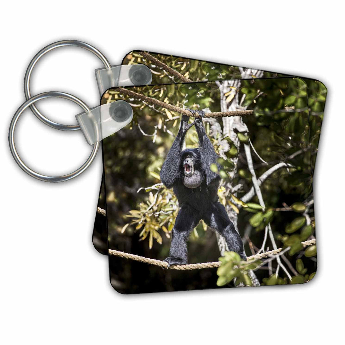 Key Chain - A howling Siamang gibbon balances from ropes. Monkeys