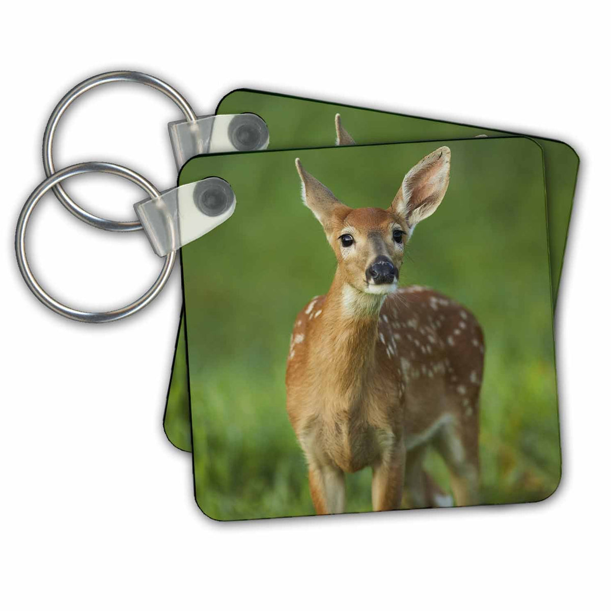 Key Chain - Columbia white tailed deer fawn. Deer
