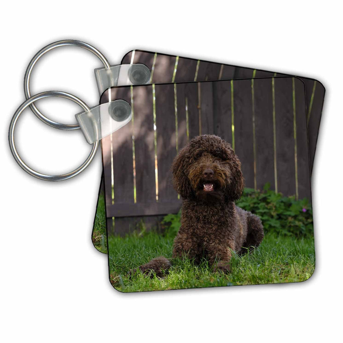 3dRose Key Chains Labradoodle playing in backyard, (kc-367138-1)