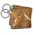 Key Chain - Silver garden spider, an orbweaver on web showing stabilimenti. Spiders