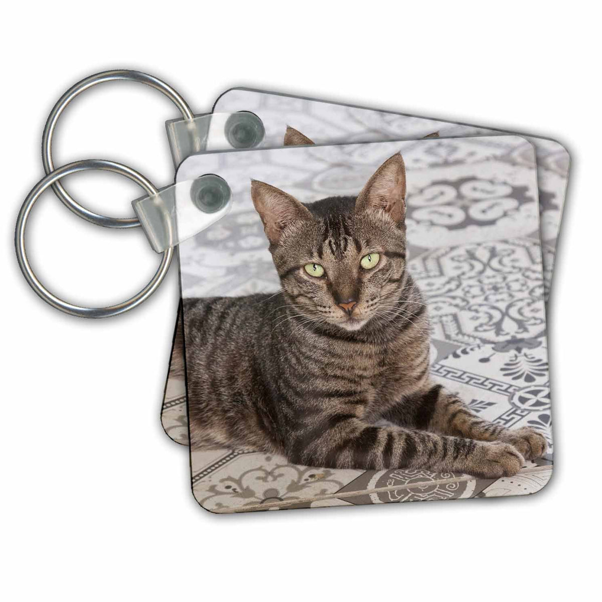 Key Chain - Domestic cat. Brown tabby. Cats