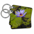 Key Chain - Water lily, Rarotonga, Cook Islands, South Pacific Flower