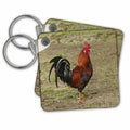 Key Chain - Rooster, Rarotonga, Cook Islands, South Pacific Birds