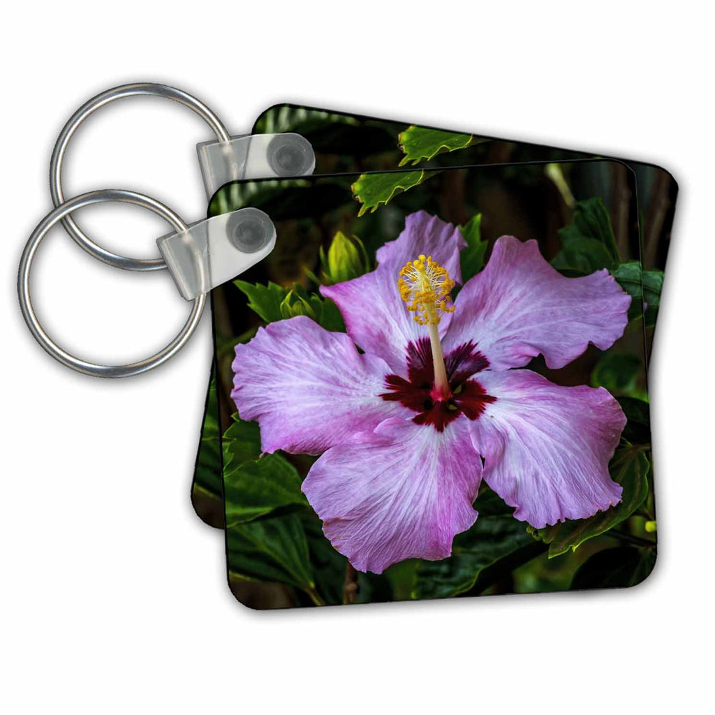 3dRose Key Chains Tropical hibiscus flowers, Easter Island, Chile. (kc-367226-1)
