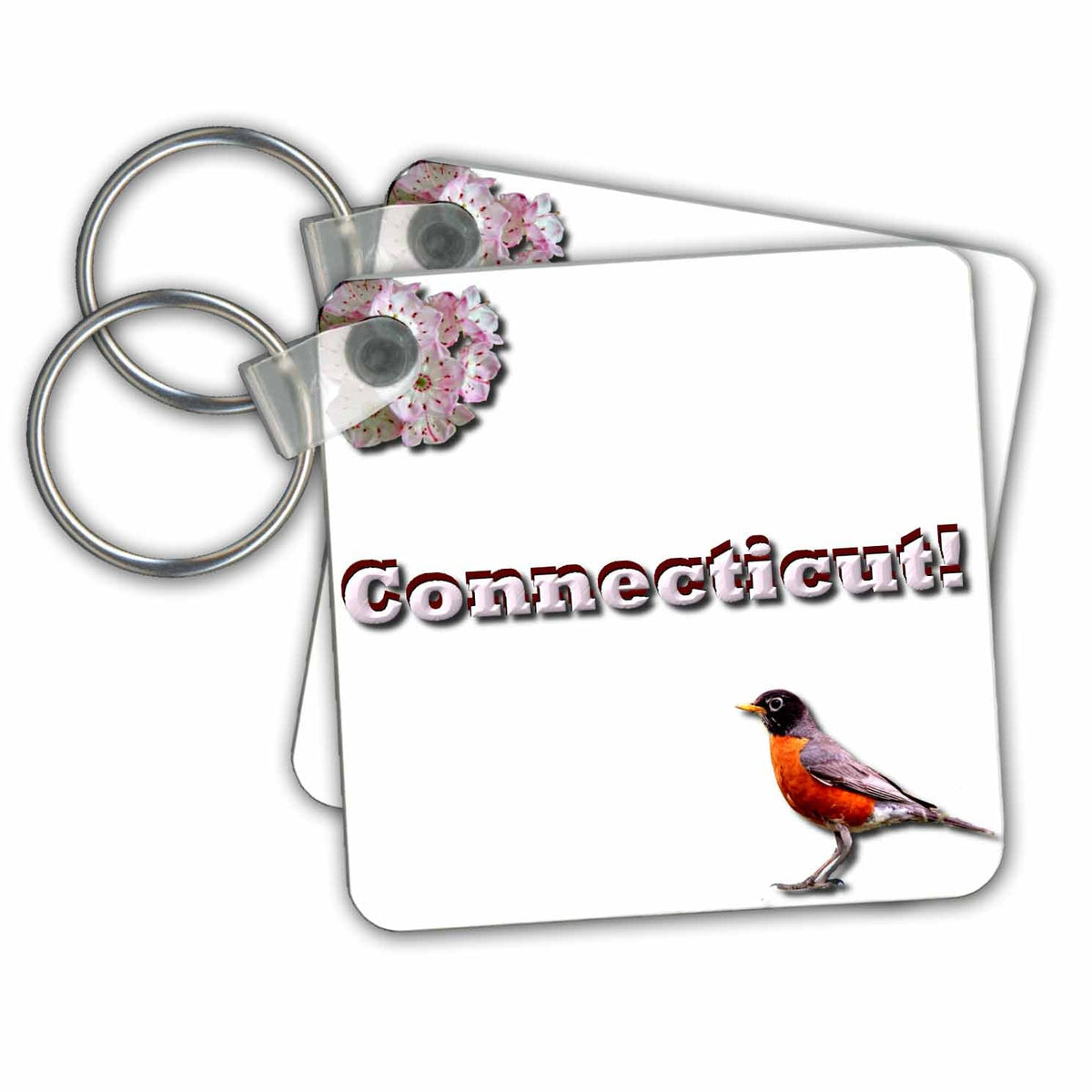 3dRose Key Chains Connecticut (kc-36725-1)