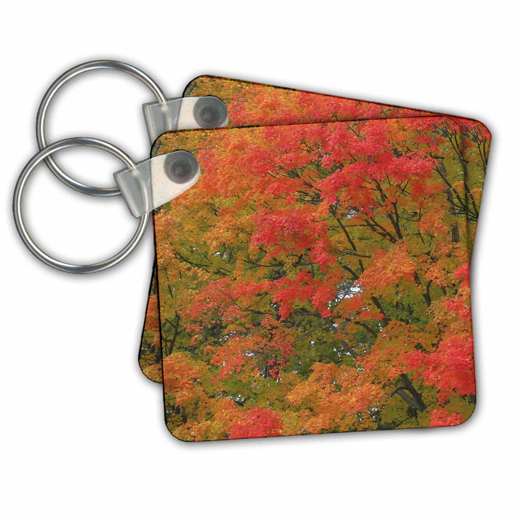3dRose Key Chains USA, Vermont. Vibrant Fall colors. (kc-368446-1)
