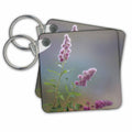 Key Chain - USA, Washington State, Seabeck. Spiraea shrub flowers. Flower