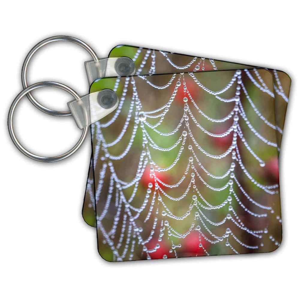 3dRose Key Chains Dew drops on spider web with rose hips in background. (kc-368488-1)