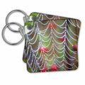 3dRose Key Chains Dew drops on spider web with rose hips in background. (kc-368488-1)
