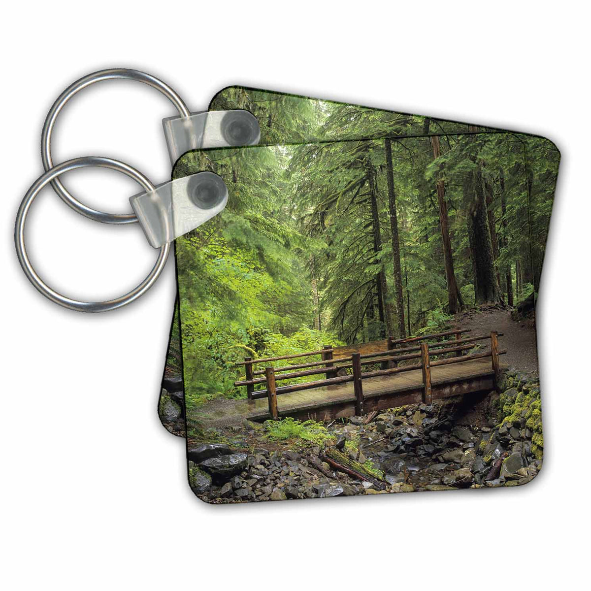 Key Chain - Washington State, Olympic NP, Sol Duc rainforest, bridge over stream Washington