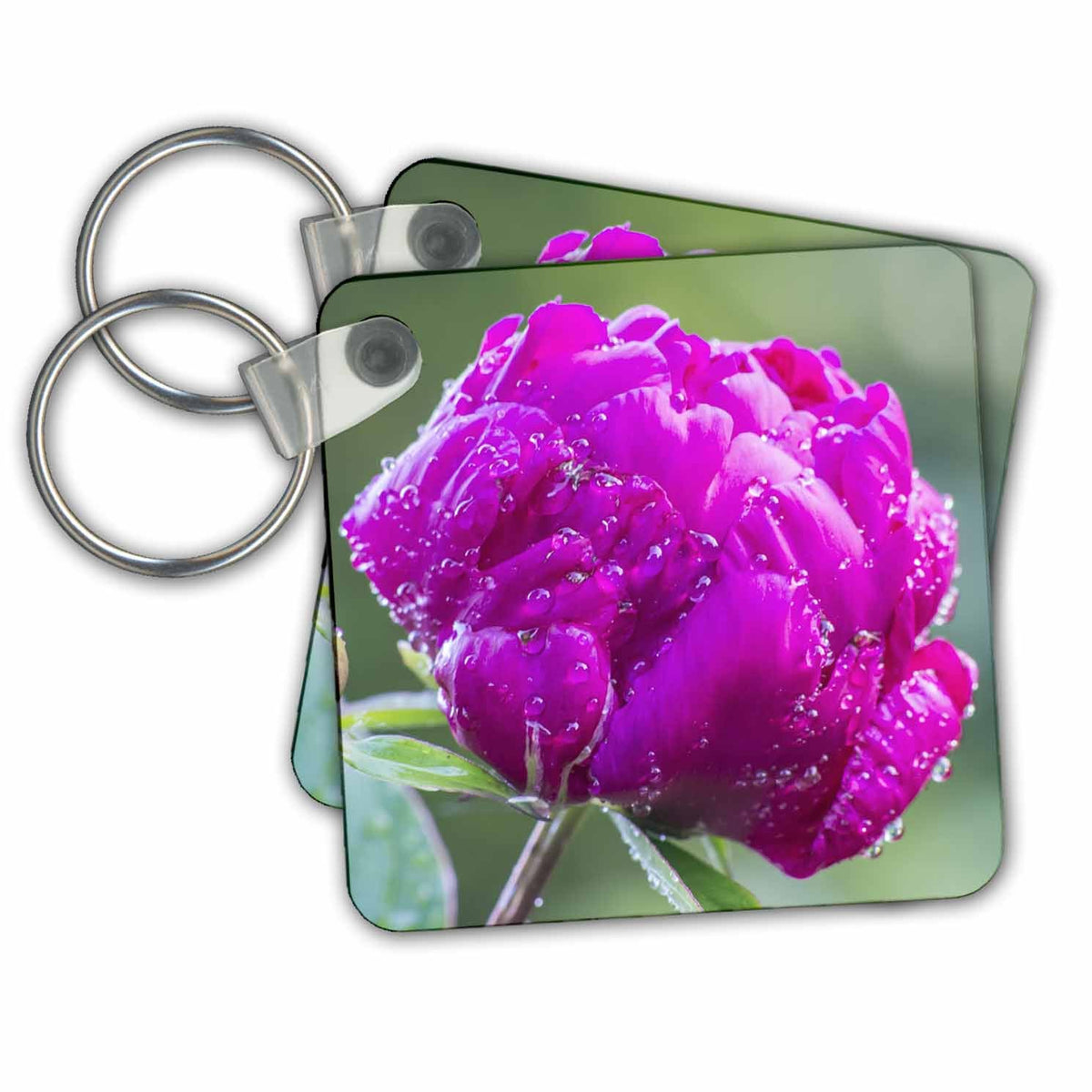3dRose Key Chains Washington State, Bellevue. Peony (kc-368594-1)