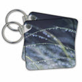 Key Chain - Washington State, Bellevue. Water Drops on the Grass Abstracts