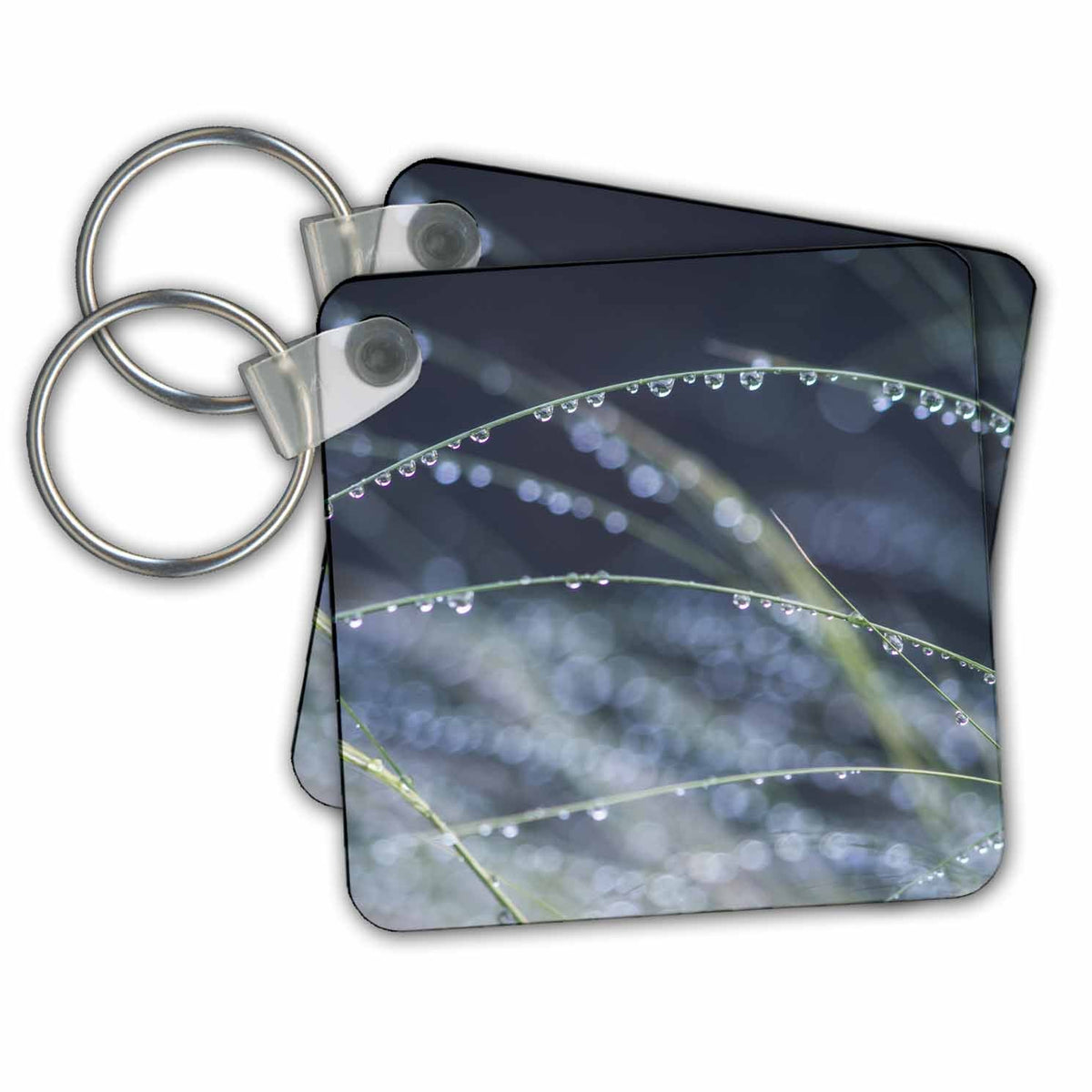 Key Chain - Washington State, Bellevue. Water Drops on the Grass Abstracts