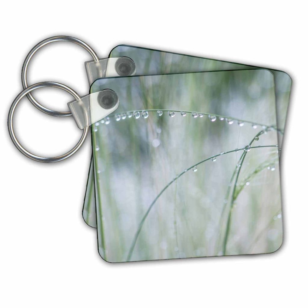 3dRose Key Chains Washington State, Bellevue. Water Drops on Grass. (kc-368596-1)