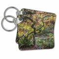Key Chain - Washington State, Seattle. Arboretum, Japanese Maple Tree