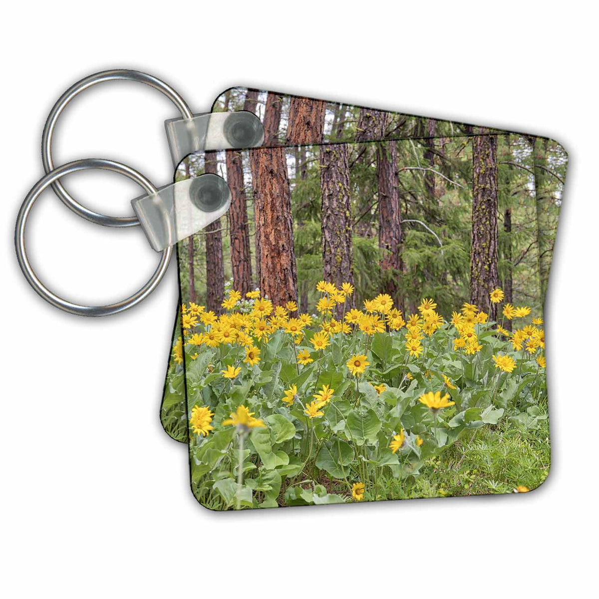 3dRose Key Chains USA, Washington State. Spring wildflowers and Poderosa Pine. (kc-368613-1)