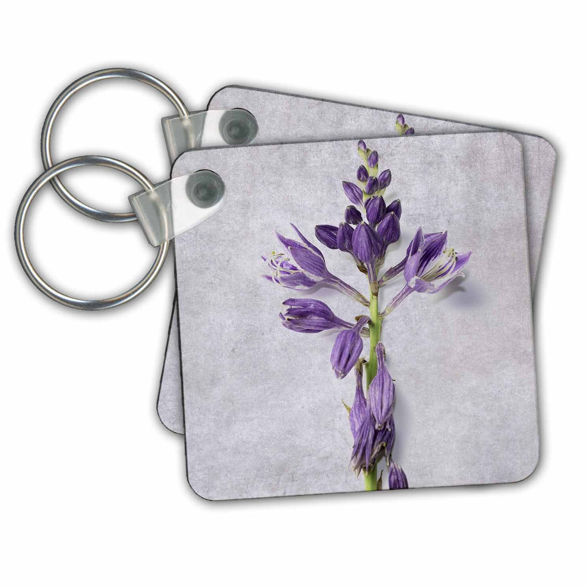 3dRose Key Chains Purple flowers on light gray background (kc-368760-1)