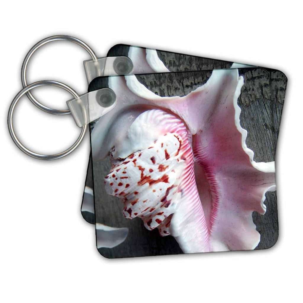3dRose Key Chains Brown Pink Speckled Sea Shells (kc-36930-1)