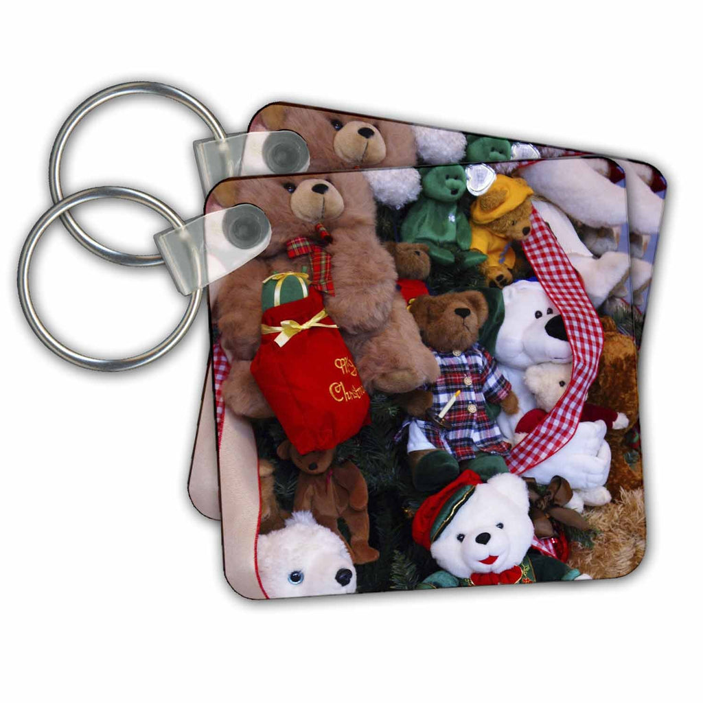3dRose Key Chains A Childs Dream (kc-7913-1)